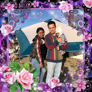 Meet your Posher, Rosy